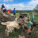 Clambers oin the fallen tree on Muddy Church route